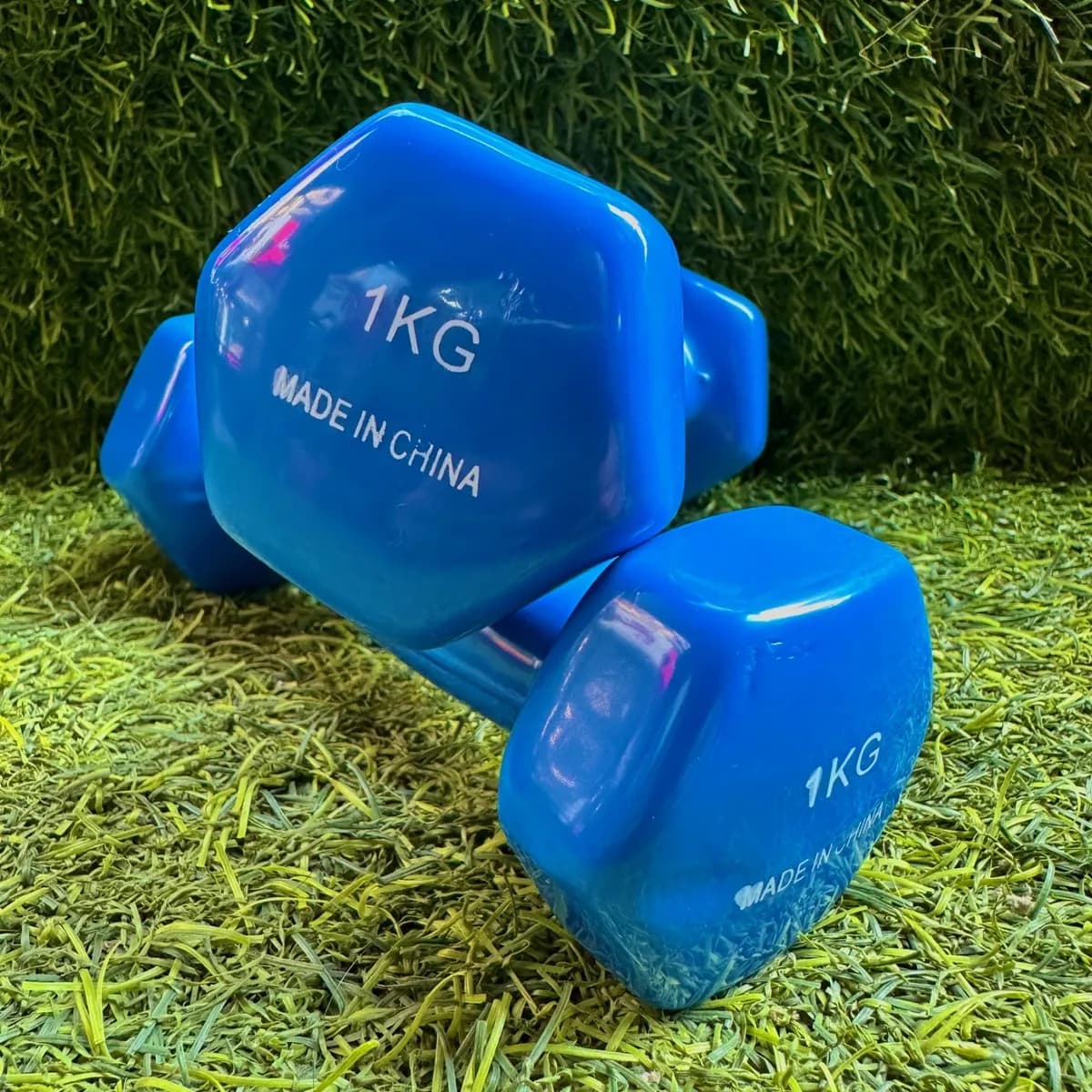 Dumbbells Pair 1KG